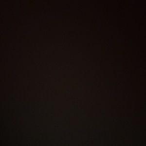 Womans Rock Revival Shorts